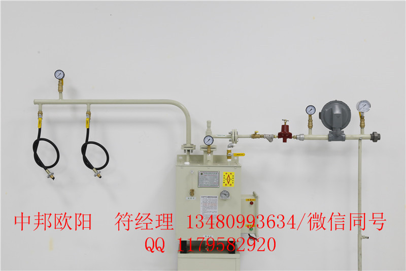 供應30kg氣化器中邦氣化爐廠家直銷